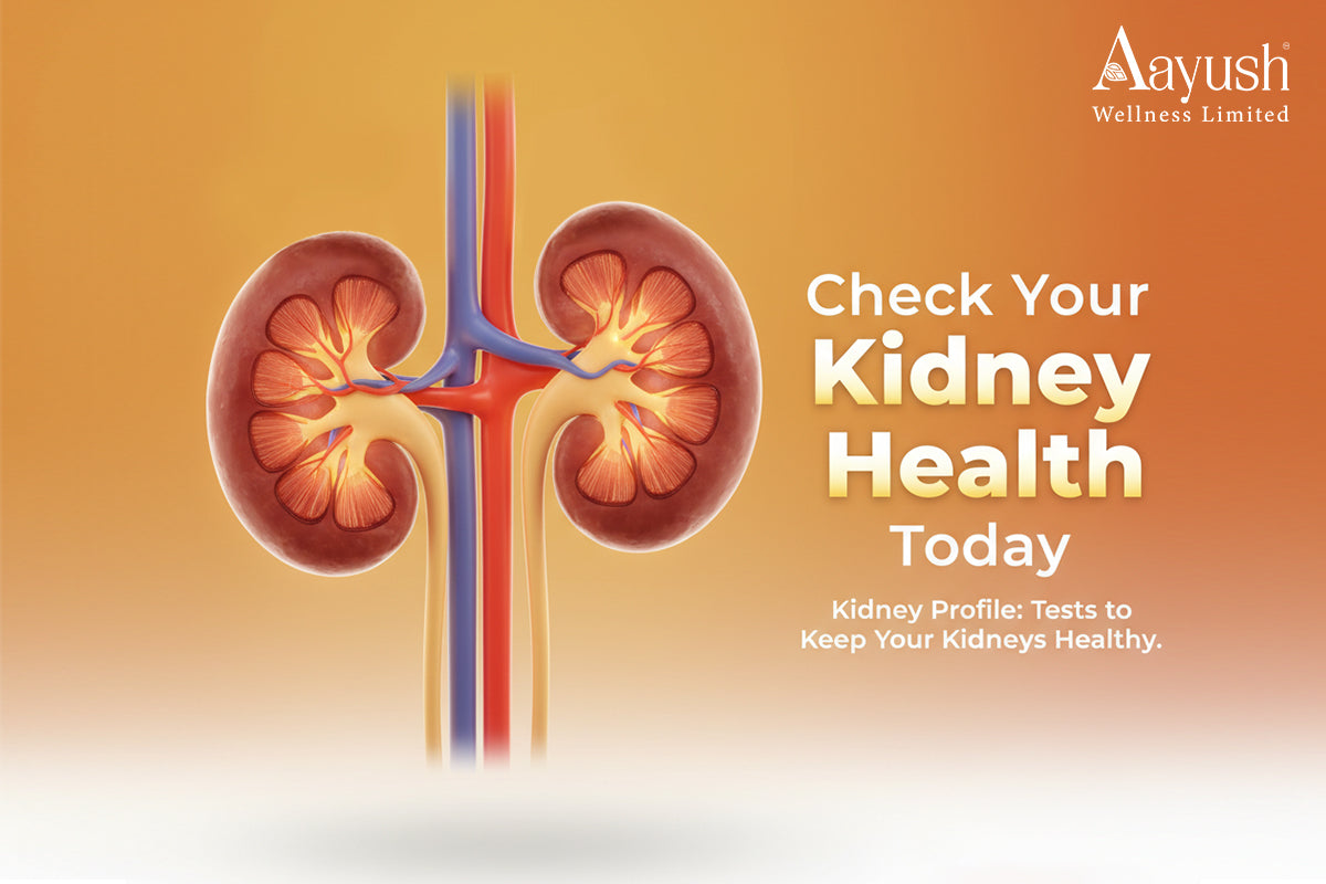 Aayush Labs Kidney Profile: Comprehensive Tests for Your Kidney Health