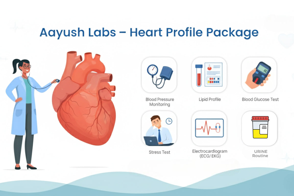 Affordable Heart Health Check-Up: What’s Included in the Heart Profile?